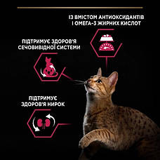 АКЦІЯ PRO PLAN Sterilised Adult 1+ з тріскою та фореллю сухий корм для стерилізованих кішок 1,5 кг, фото 5