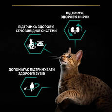 АКЦІЯ PRO PLAN Sterilised Adult 1+ Renal Plus з індичкою сухий корм для стерилізованих кішок 1,5 кг, фото 4