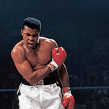 Плакат "Мохаммед Алі та Сонні Лістон, Muhammad Ali", 43×60см, фото 3