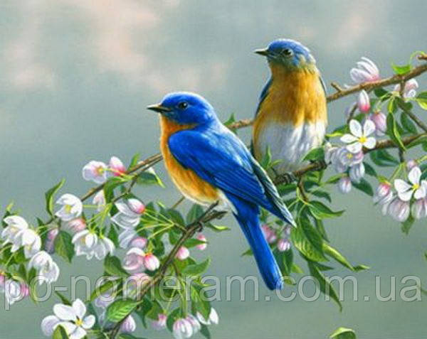 Живопись по номерам Mariposa Птички на яблоне (MR-Q809) 40 х 50 см - фото 1 - id-p415093070