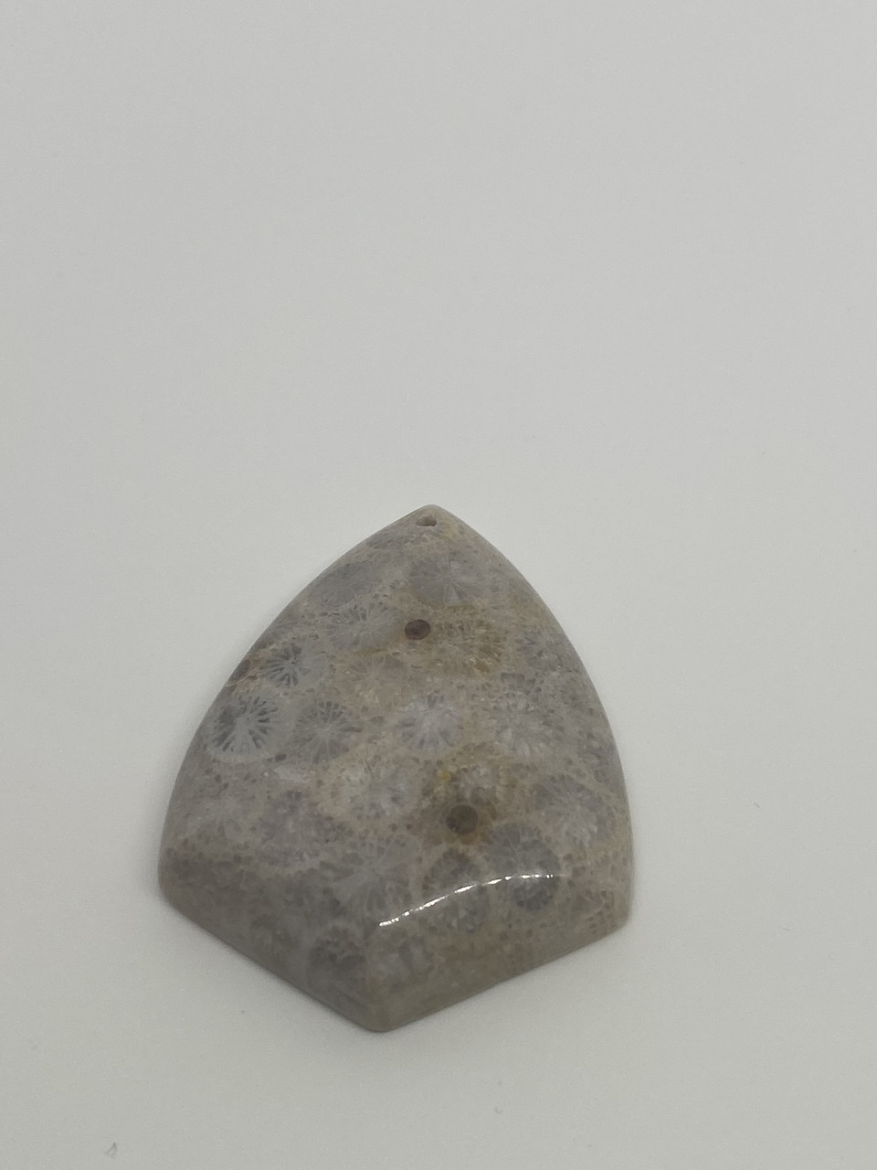 Корал натуральний кулон/кабошон скам'янілий корал. Кулон із скам'янілим коралом, фото 1