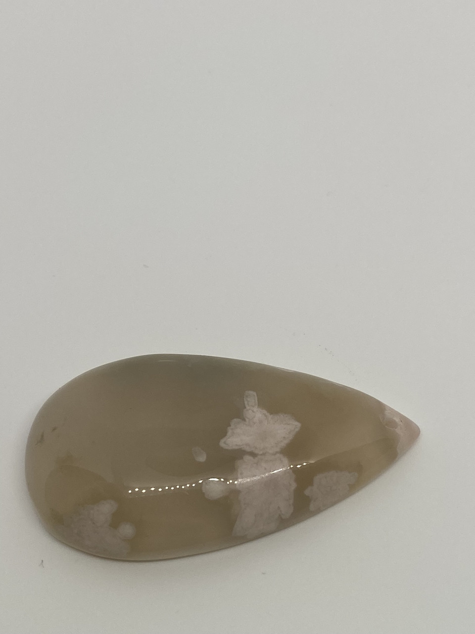 Корал натуральний кулон/кабошон скам'янілий корал. Кулон із скам'янілим коралом, фото 1