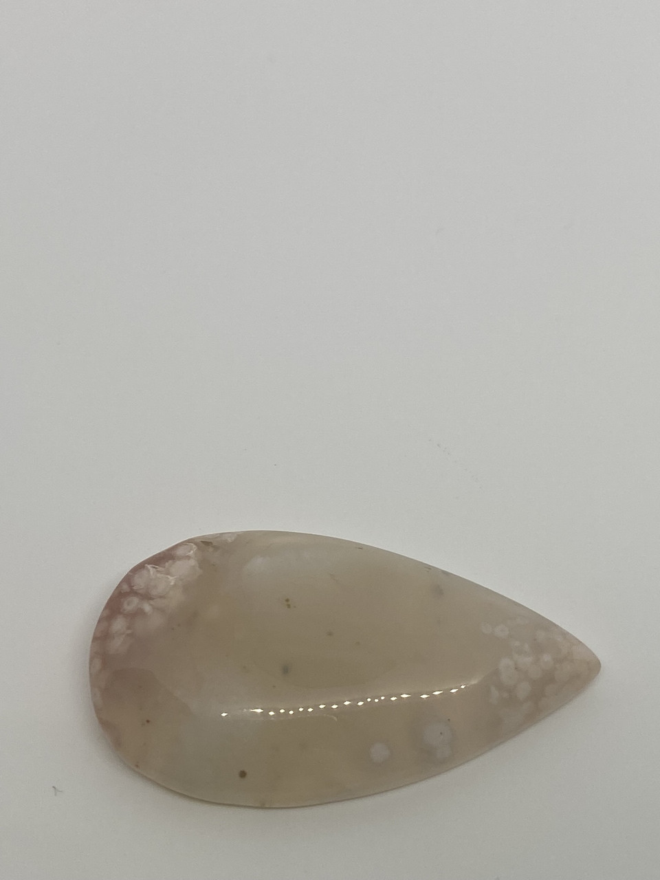 Корал натуральний кулон/кабошон скам'янілий корал. Кулон із скам'янілим коралом, фото 1