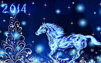 З Новим Роком 2014!