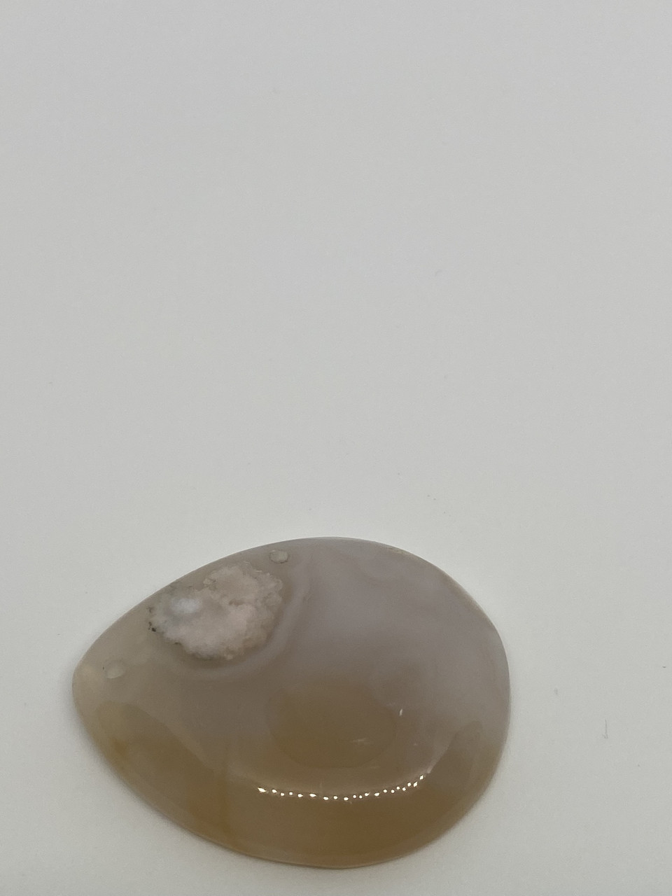 Корал натуральний кулон/кабошон скам'янілий корал. Кулон із скам'янілим коралом, фото 1