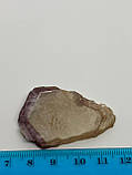 Мусихіт камінь 43*40*4 мм. натуральний мускрив, фото 3