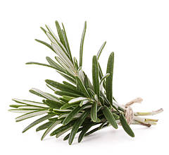 Розмарин свіжий 1 кг