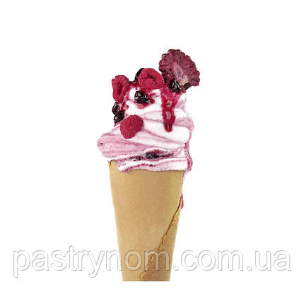 Стабілазатор для морозива Procrema 100 Cold Sosa 3 кг, фото 1