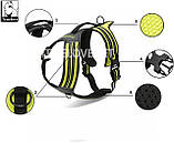 Світловідбивна шлейка для собак Truelove з ручкою, розмір S, М'який жилет для домашніх тварин без витягування, міцний зовнішній, фото 6