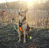Світловідбивна шлейка для собак Truelove з ручкою, розмір S, М'який жилет для домашніх тварин без витягування, міцний зовнішній, фото 7