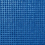 Рулон 90х1500 см. щетинисте покриття/ брудозахисна доріжка синя PLASTTURF 77, ширина 90 см, фото 4