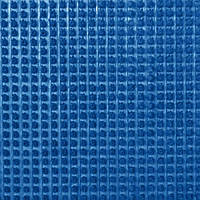 Щетинисте покриття/ брудозахисна доріжка синя PLASTTURF 77, ширина 90 см