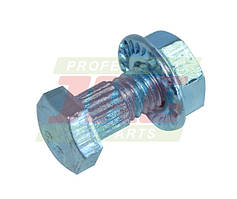 Болт із гайкою Schumacher Rasspe 19мм