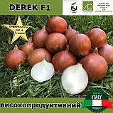 Цибуля ДЕРЕК F1 / DEREK F1, 250 000 насінин, ТМ Isi Sementi (Італія), фото 3