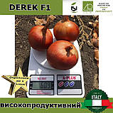 Цибуля ДЕРЕК F1 / DEREK F1, 250 000 насінин, ТМ Isi Sementi (Італія), фото 4