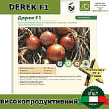 Цибуля ДЕРЕК F1 / DEREK F1, 250 000 насінин, ТМ Isi Sementi (Італія), фото 5