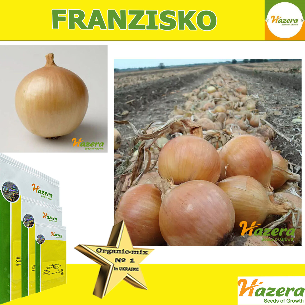 Цибуля ФРАНЦІСКО / FRANZISKO, 250 000 насінин, ТМ Hazera (Голландія)