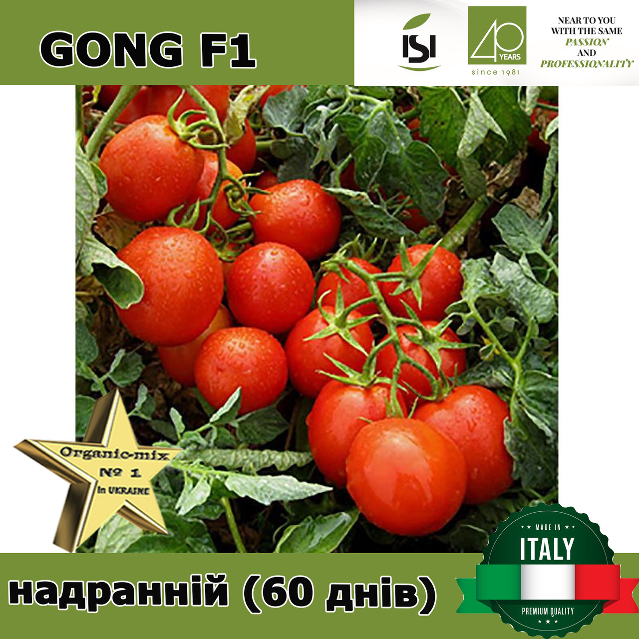 Томат ультраранній ГОНГ F1 / GONG F1, ТМ Isi Sementi (Італія)