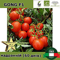 Томат ультраранній ГОНГ F1 / GONG F1, ТМ Isi Sementi (Італія)