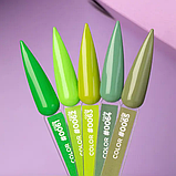 DNKa' Gel Polish Color #0063, фото 2