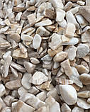Галька декоративна «Рив'єра» світло-кремова для декору клумб та ландшафтного дизайну (ціна за 1 кг від 1 тони), фото 2