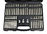 Набір біт Torx, Ribe, Hex, Spline, 75 шт 1/2", 3/8" Geko G10036 в кейсі, фото 2