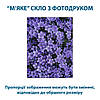 Покриття для столу, м'яке скло з фотодруком, Клумба фіолетових квітів 100 х 100 см (1,2 мм) МСПБ-tx380, фото 3