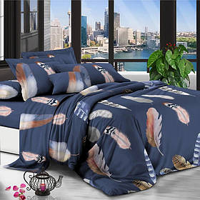 Євро комплект постільної білизни з кольоровим пір'ям 200*220 (18392) Бязь бавовна поліестер