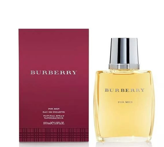 Burberry for Men 100 ml, фото 1