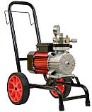 Мембранний фарбувальний апарат Profter DF-1000 (3.5л./хв. 2200Вт.), фото 2