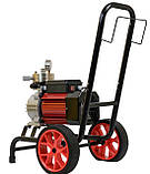 Мембранний фарбувальний апарат Profter DF-1000 (3.5л./хв. 2200Вт.), фото 7