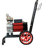 Мембранний фарбувальний апарат Profter DF-1000 (3.5л./хв. 2200Вт.), фото 5