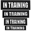 Набір шевронів 4 шт з липучкою In Training для службових собак, кінологів, кінологічна служба, нашивка шеврон патч, фото 10
