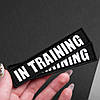 Набір шевронів 4 шт з липучкою In Training для службових собак, кінологів, кінологічна служба, нашивка шеврон патч, фото 8