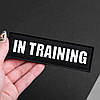 Набір шевронів 4 шт з липучкою In Training для службових собак, кінологів, кінологічна служба, нашивка шеврон патч, фото 9