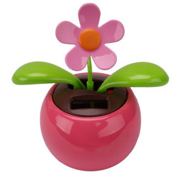 Сонячна квітка, фото 1