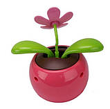 Сонячна квітка, фото 3