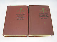 История русской литературы XIX века. В двух томах (б/у).