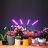 Світлодіодна лампа для рослин 40 Вт, 4 головки, від USB / Настільна світлодіодна фітолампа, фото 2
