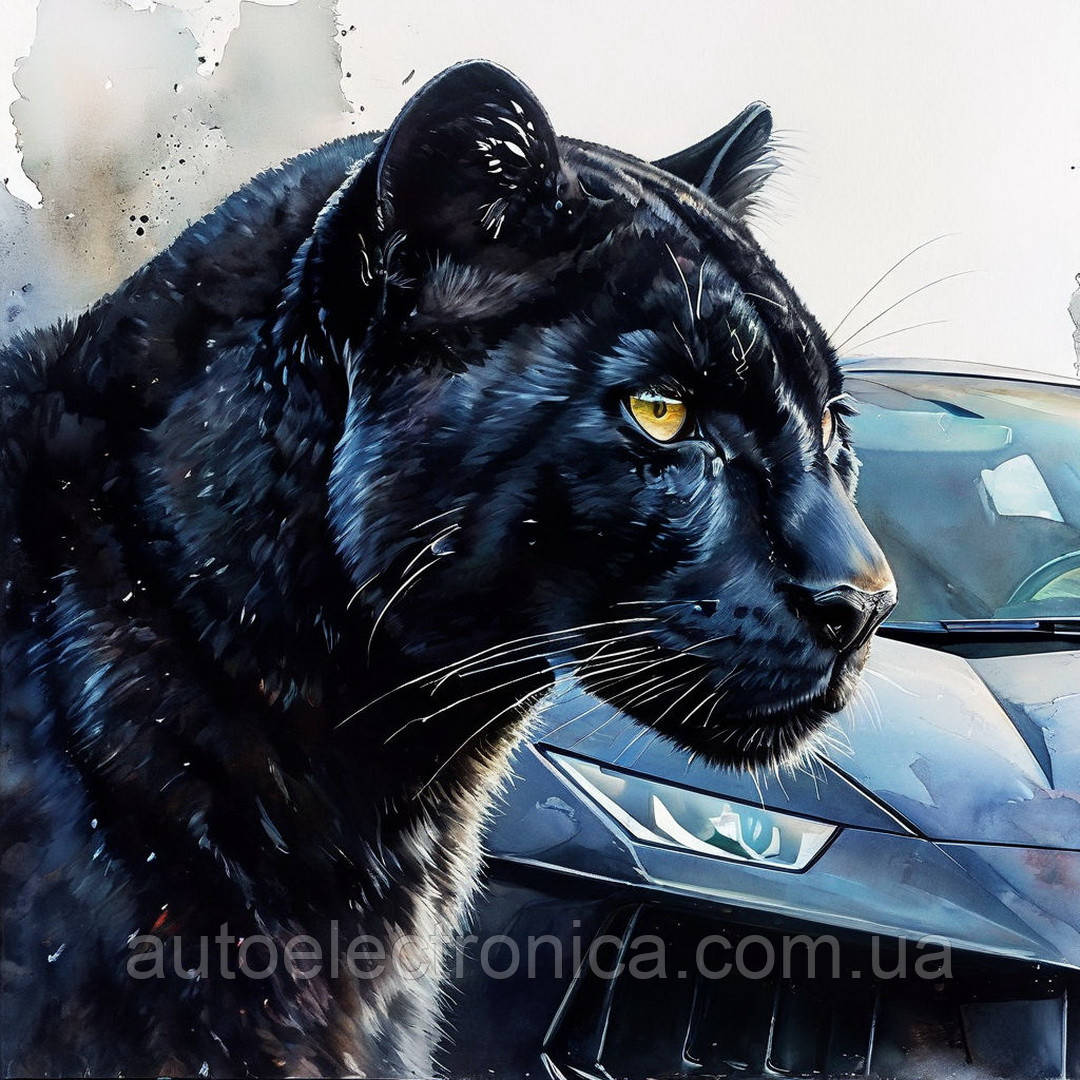 Картина на полотні "Puma and Black Lamborghini" | CAP.1.2