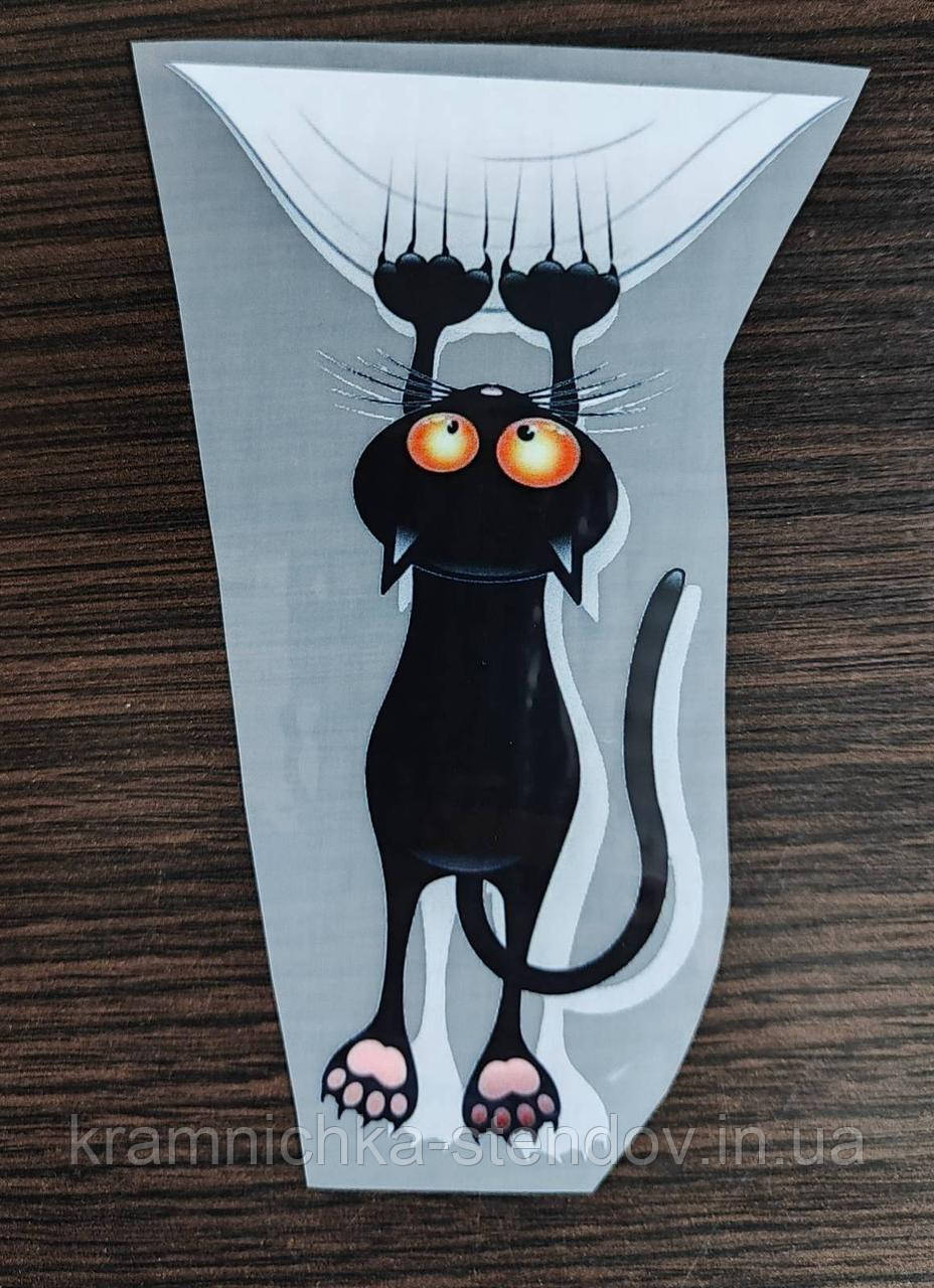 Термонаклейка на одяг, фото 1