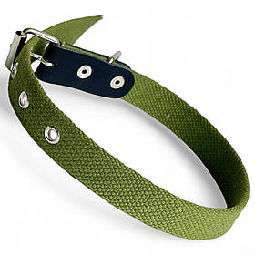Нашийник для собак. Нашийник брезентовий для собак, 20 мм, обхват шиї 30-40 см, Зелений