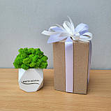 Подарунок стоматологу .декор в стоматологію. кашпо з мохом і назвою клініки, прізвищем лікаря, фото 4