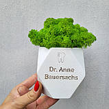 Подарунок стоматологу .декор в стоматологію. кашпо з мохом і назвою клініки, прізвищем лікаря, фото 9