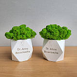 Подарунок стоматологу .декор в стоматологію. кашпо з мохом і назвою клініки, прізвищем лікаря, фото 8
