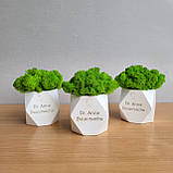 Подарунок стоматологу .декор в стоматологію. кашпо з мохом і назвою клініки, прізвищем лікаря, фото 7