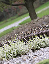 Палісад садовий Prosperplast Garden BORDER, коричневий, 2,5 м, фото 3