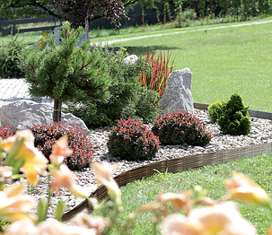 Бордюр садовий Prosperplast GARDEN BORDER, коричневий, 3,9 м, фото 3