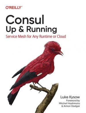 Consul: Up & Running: Service Mesh for Any Runtime or Cloud. Luke Kysow, фото 1