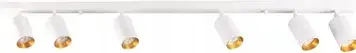 Світильники на рейці Sanico Lampa Sufitowa Reflektor Biało Złota 6Xgu10 Spot (San_321244)